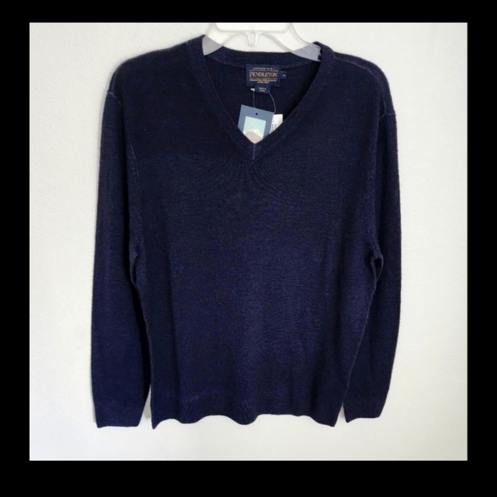 The Pendleton Magic Wash V-neck Pullover Wool Men's Sweater Sz M (NWT) - Picture 1 of 10